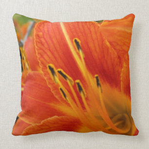 bright orange throw pillow