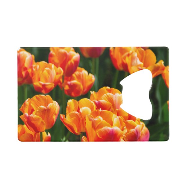 Bright orange tulips in the park  credit card bottle opener (Front (Horizontal))