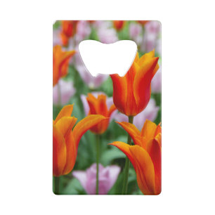 Bright orange tulips in the park   credit card bottle opener