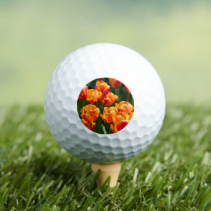 Bright orange tulips in the park golf balls