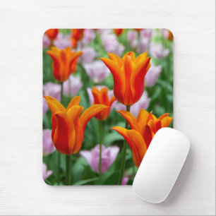 Bright orange tulips in the park mouse pad