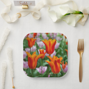 Bright orange tulips in the park  paper plates