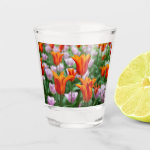 Bright orange tulips in the park shot glass