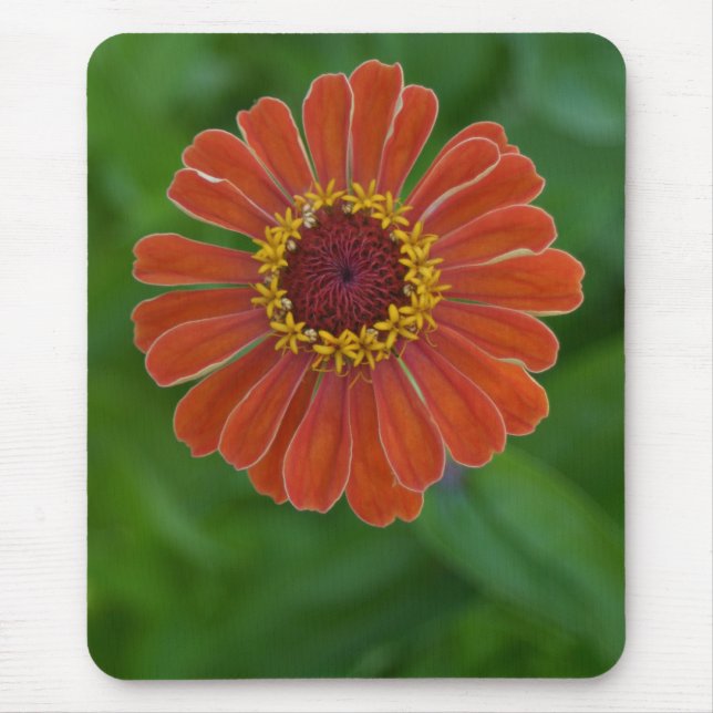 Bright Orange Zinnia Flower Blossom mousepad (Front)