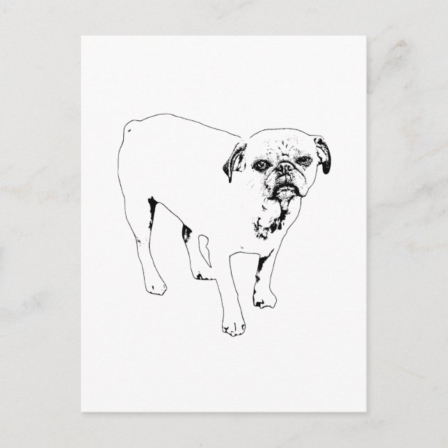 Bright Outlined Dog Postcard For Friendly Updates (Front)