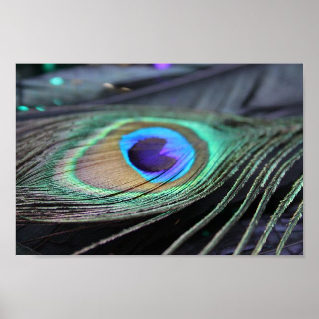 Bright Peacock Feather Photo Poster Art Print (Front)