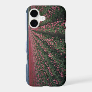 Bright pink and red tulips glow under dark