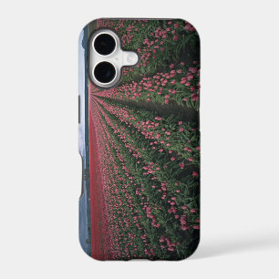 Bright pink and red tulips glow under dark