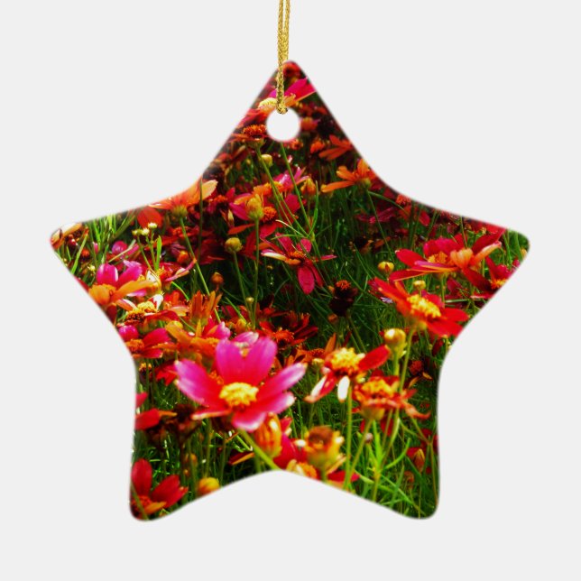 Bright pink and yellow Daisy Wild flowers Ceramic Ornament (Front)
