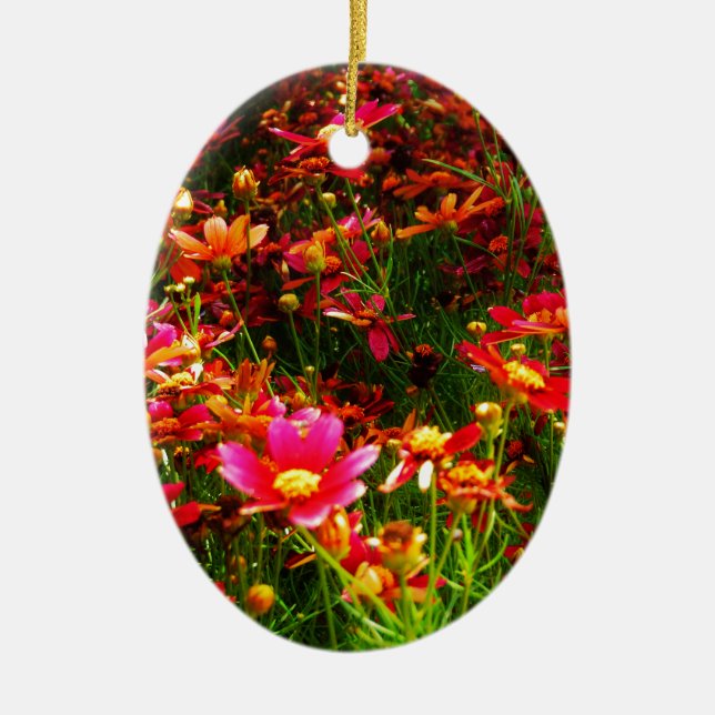 Bright pink and yellow Daisy Wild flowers Ceramic Ornament (Front)