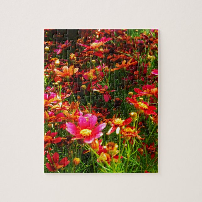 Bright pink and yellow Daisy Wild flowers Jigsaw Puzzle (Vertical)