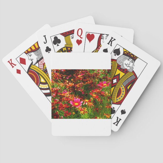 Bright pink and yellow Daisy Wild flowers Playing Cards (Back)