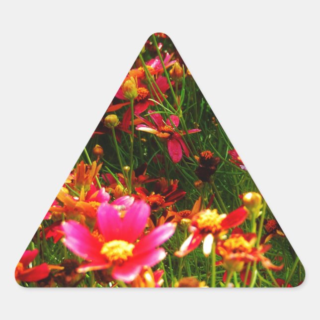 Bright pink and yellow Daisy Wild flowers Triangle Sticker (Front)