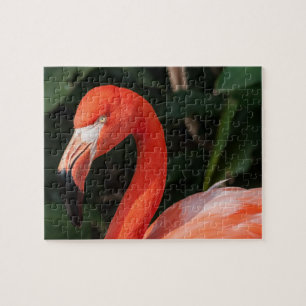 Bright Pink Flamingo Jigsaw Puzzle