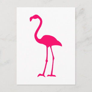 Bright Pink Flamingo Postcard