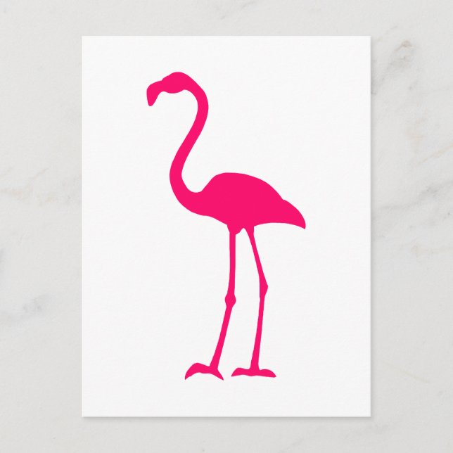 Bright Pink Flamingo Postcard (Front)