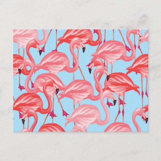 Bright Pink Flamingos On Blue 2 Postcard (Front)