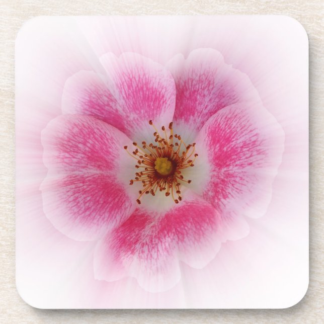 bright pink flower coaster (Front)