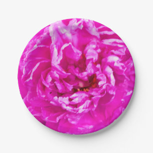 Bright Pink Peony Plates, 7" round Paper Plate