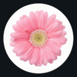 Bright Pink Photographic Daisy Flower Classic Round Sticker<br><div class="desc">Perfect for all your party and craft needs,  we are excited to offer a wide range of colourful stickers. Check our store for a full line of beautiful floral and nature inspired stickers that are perfect for DIY projects,  wedding invitations and much more.</div>