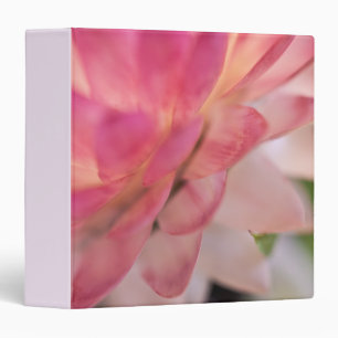 Bright Pink Strawflower Binder
