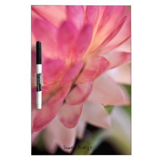 Bright Pink Strawflower Dry Erase Board