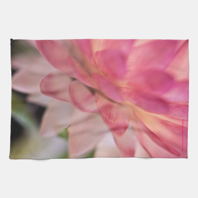 Bright Pink Strawflower Kitchen Towel (Horizontal)