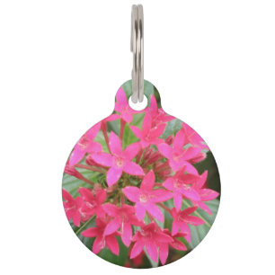 Bright Pink Tropical Flowers Dog Tag