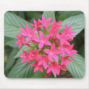 Bright Pink Tropical Flowers Mousepad