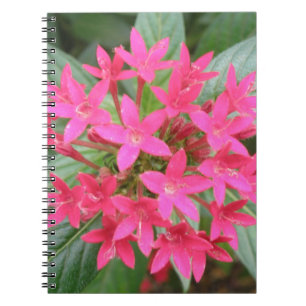 Bright Pink Tropical Flowers Notebook