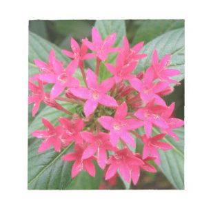 Bright Pink Tropical Flowers Notepad