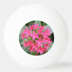 Bright Pink Tropical Flowers Ping Pong Ball