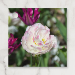 Bright pink tulips on a sunny day   favour tags