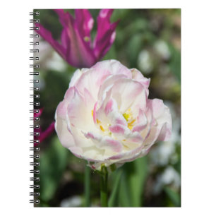 Bright pink tulips on a sunny day   notebook
