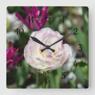 Bright pink tulips on a sunny day  square wall clock