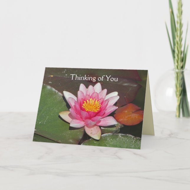Bright Pink Water Lily Flower Thinking of You Card (Front)