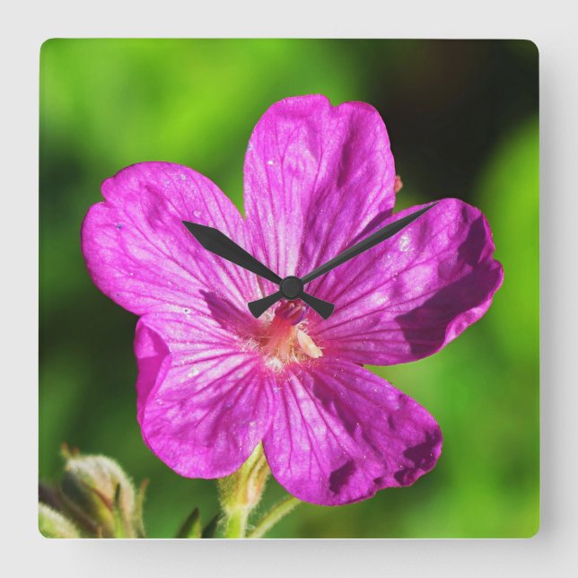 Bright Pink Wildflower Blooming Green Grass Square Wall Clock (Front)