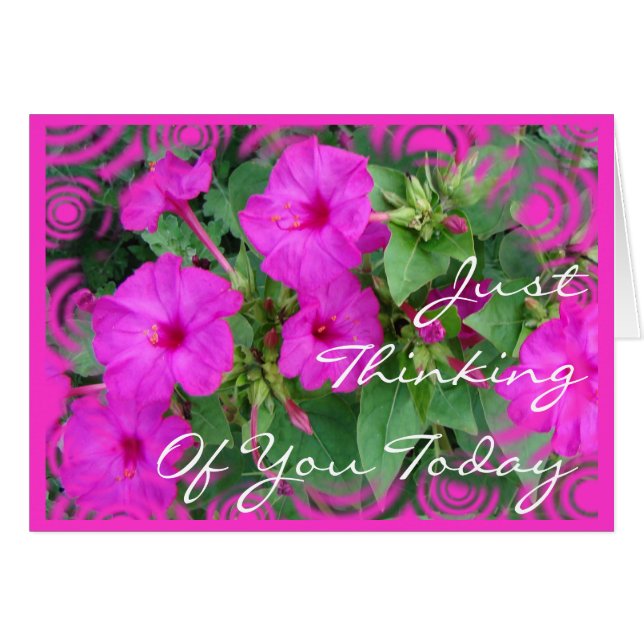 Bright Pk 4 o'clock flowers-customize any occasion (Front Horizontal)