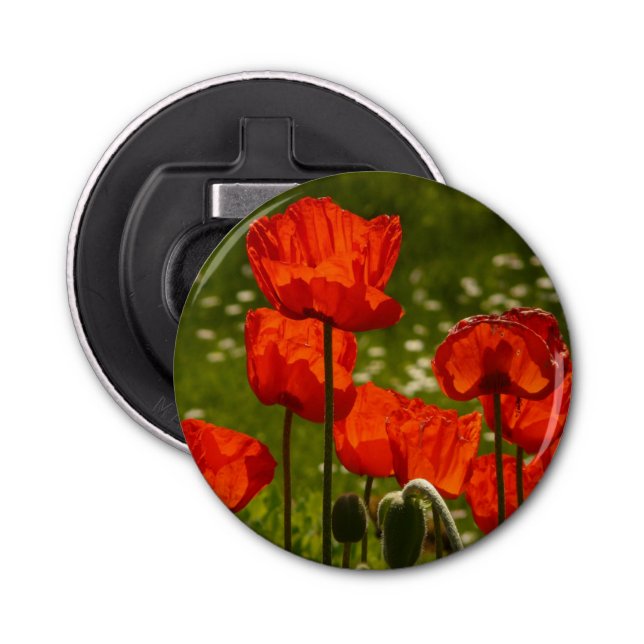 Bright Poppies Close Up Photo Bottle Opener (Front)