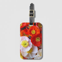 Bright Poppy Flowers