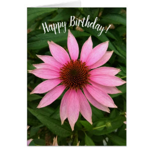 Bright Purple Coneflower Birthday Card