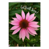 Bright Purple Coneflower Get Well Soon Card