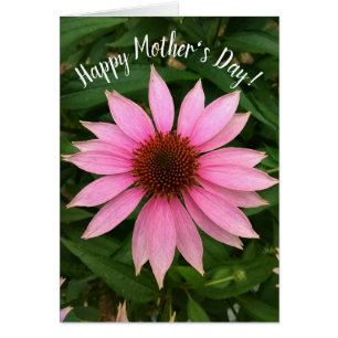 Bright Purple Coneflower Mother's Day Card