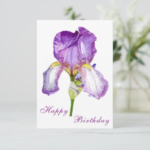 Bright Purple Iris Happy Birthday Postcard