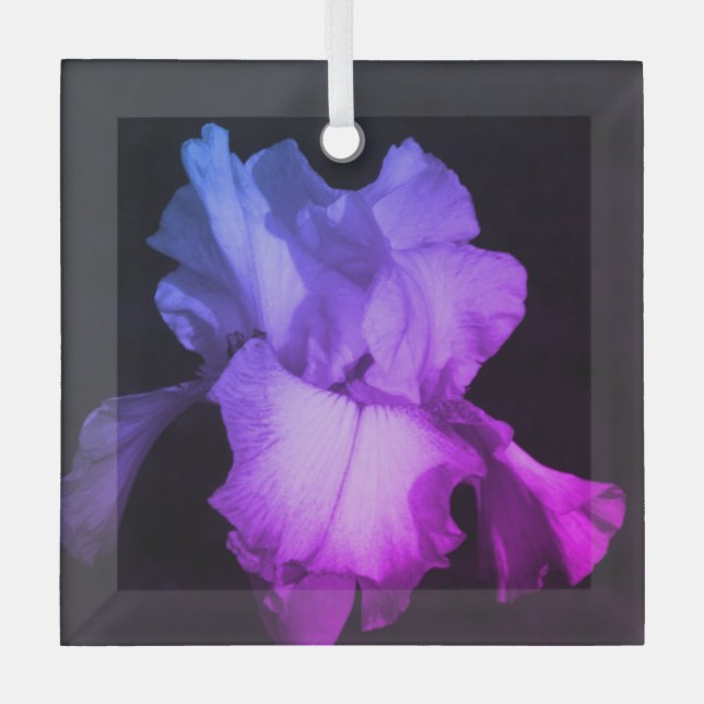 Bright Purple Iris Photo Ceramic Ornament (Front)
