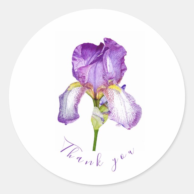 Bright Purple Iris Thank you Classic Round Sticker (Front)