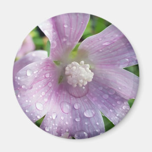 Bright purple magnet