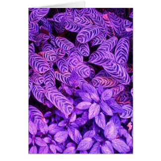 Bright Purple Tiger Leaves Greeting Note Card