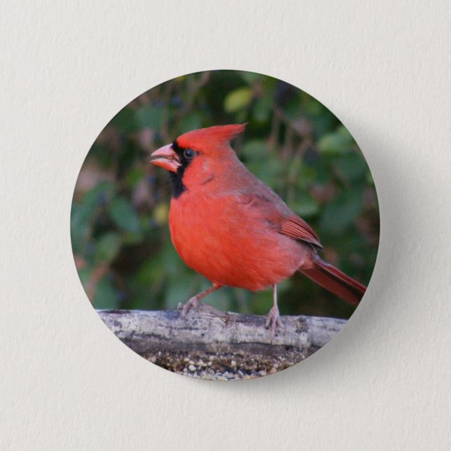 Bright Red Cardinal 2 Inch Round Button (Front)