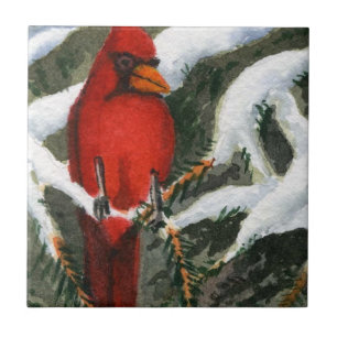 Bright red Cardinal in a snow covered pine Tile